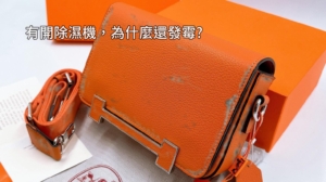 霉不在家除濕防潮系統櫃：對比精品皮包發霉痛點，探討有開除濕機為什麼還發霉的原因。
