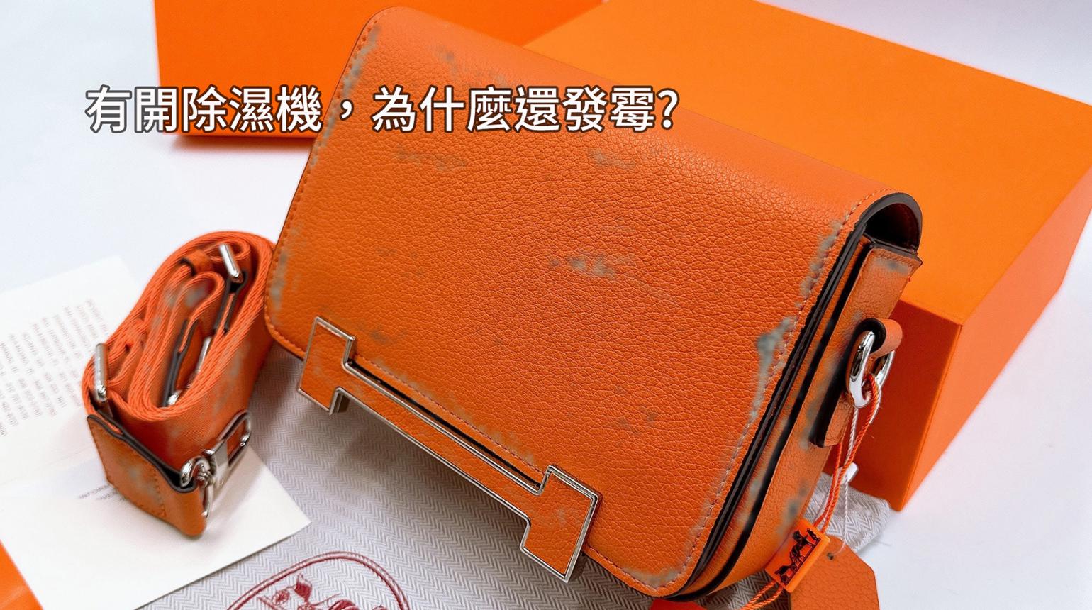 霉不在家除濕防潮系統櫃：對比精品皮包發霉痛點，探討有開除濕機為什麼還發霉的原因。