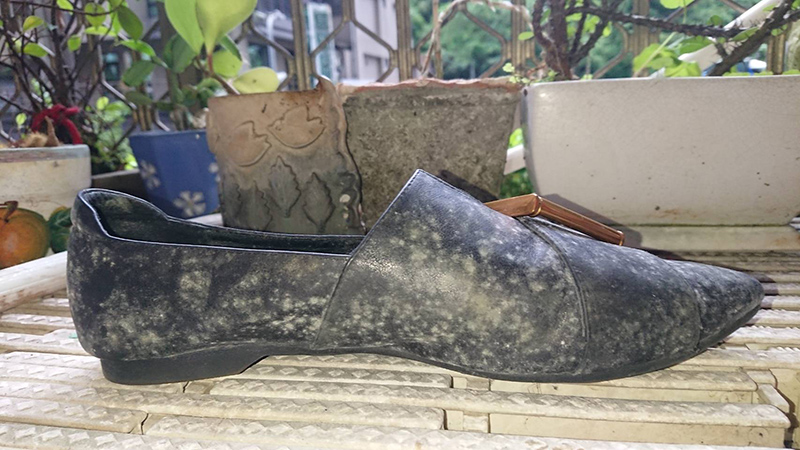 黑色皮鞋受潮發霉實況，展示台灣高濕度環境對鞋履造成的損傷